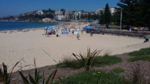 Rough Around The Edges The Bondi To Coogee Coastal Walk On The Go Solo