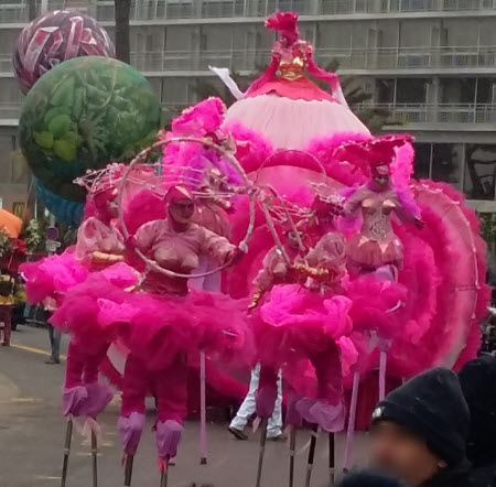 Nice Carnival - Pink Flower Walker