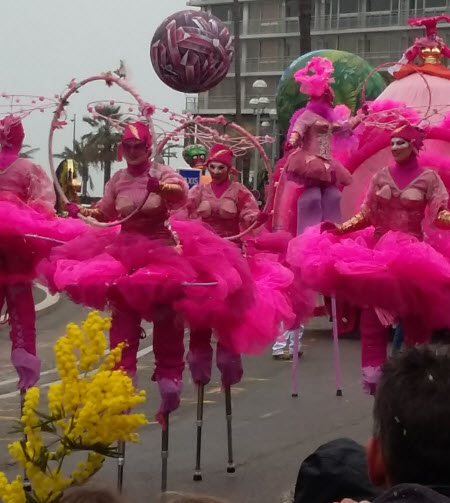 Nice Carnival - Pink Flower Walkers