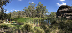Dunns Swamp, New South Wales, Australia