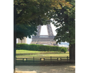 Eiffel tower, viewed from a park. Photo courtesy of P.S.