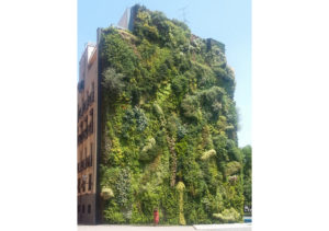 Patrick Blanc's vertical garden at CaixaForum Square, Madrid