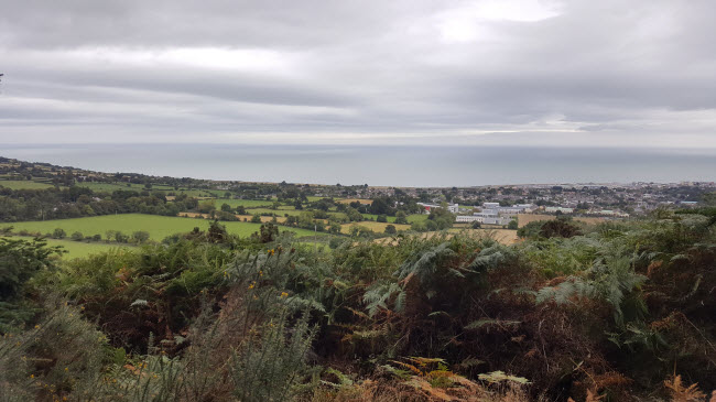 Wicklow countryside