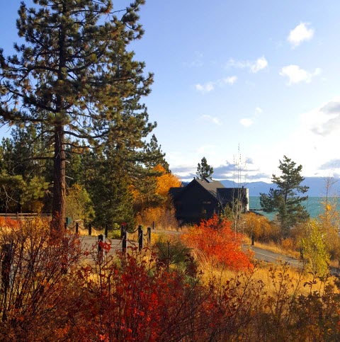 Autumn colors on the shores of Lake Tahoe